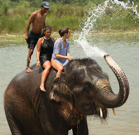 Elephant Bathing Chitwan