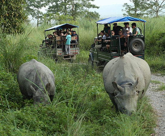 Chitwan Jeep Safari